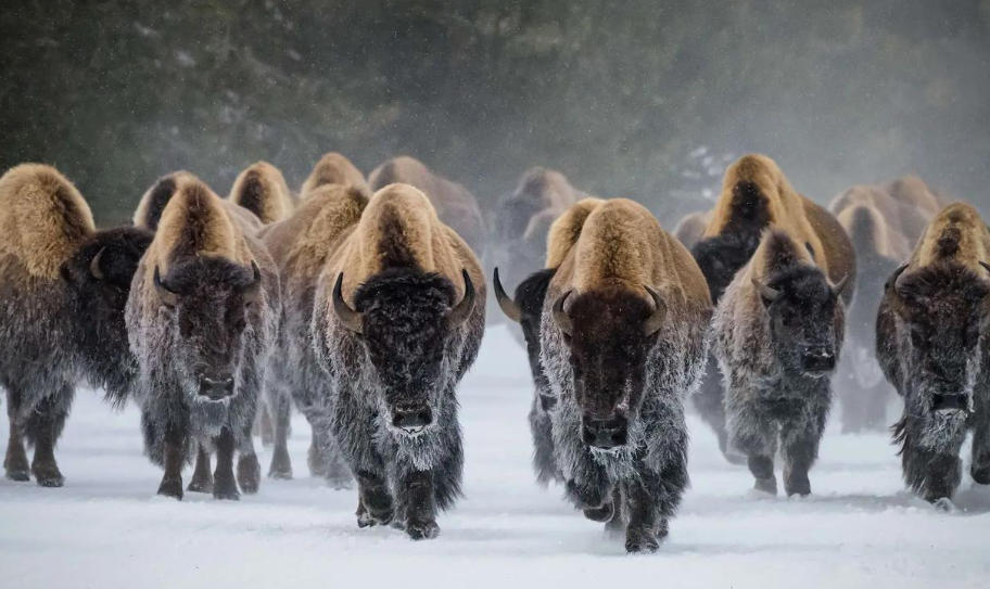 上海中钜建科工程有限公司轮播图4