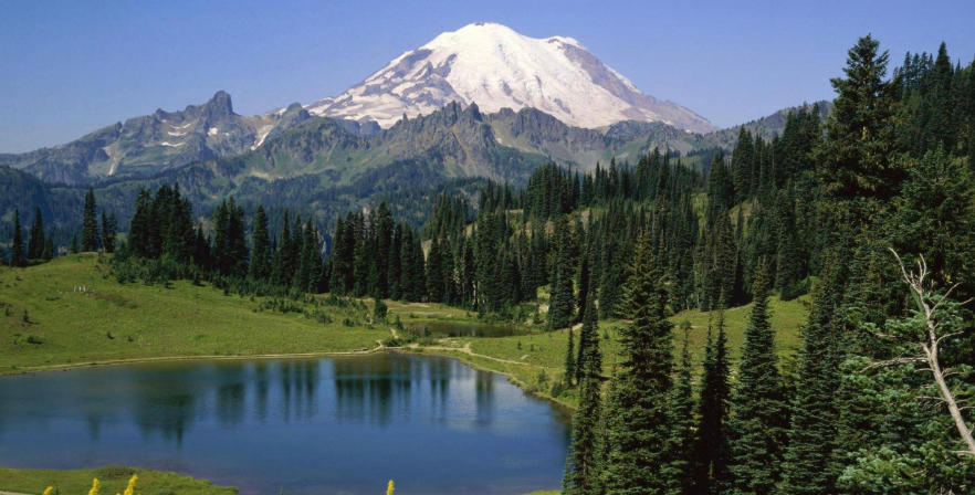 上海中钜建科工程有限公司轮播图2